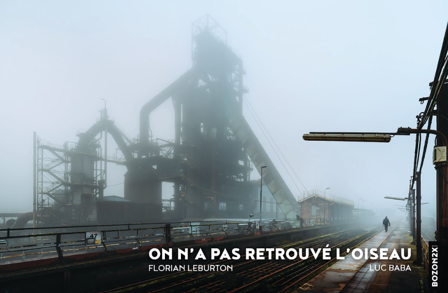 On n'a pas retrouvé l'oiseau