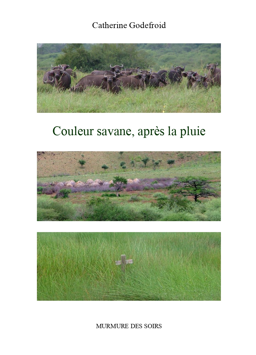 Couleur savane, après la pluie